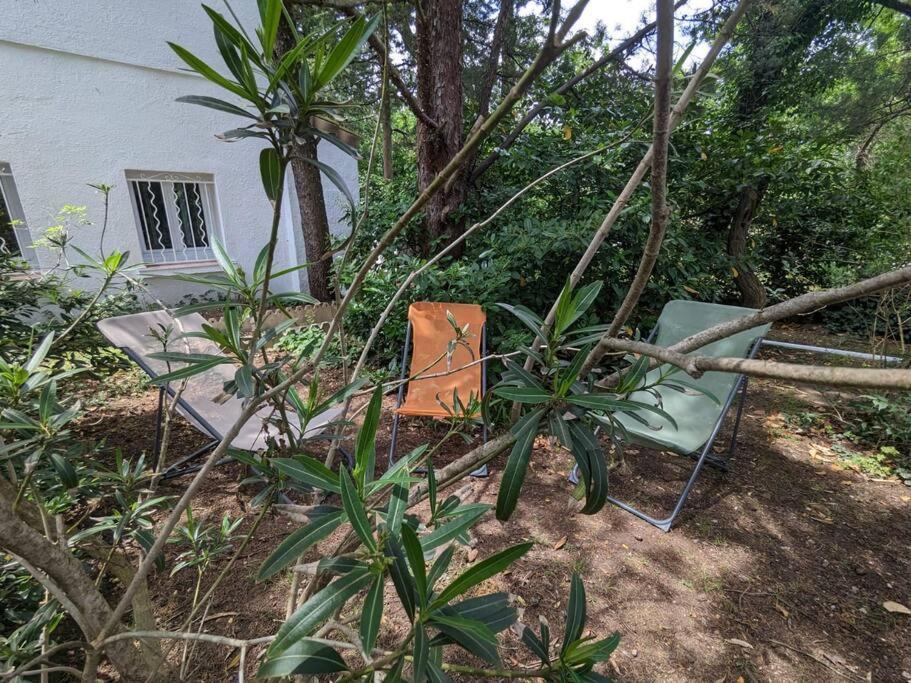 Maison Spacieuse Et Lumineuse 4 Personnes Lavilledieu  Екстериор снимка